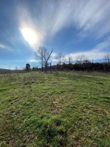 32 Acres Unrestricted Land in Sneedville, TN For Sale - image 20