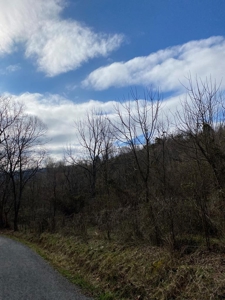32 Acres Unrestricted Land in Sneedville, TN For Sale - image 12