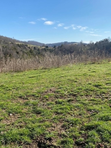 32 Acres Unrestricted Land in Sneedville, TN For Sale - image 17