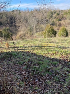 32 Acres Unrestricted Land in Sneedville, TN For Sale - image 4