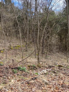 32 Acres Unrestricted Land in Sneedville, TN For Sale - image 2