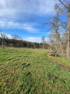 32 Acres Unrestricted Land in Sneedville, TN For Sale - image 5