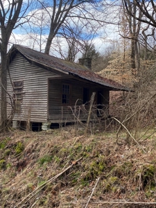 32 Acres Unrestricted Land in Sneedville, TN For Sale - image 9