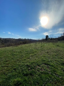 32 Acres Unrestricted Land in Sneedville, TN For Sale - image 14
