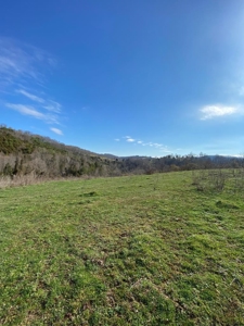 32 Acres Unrestricted Land in Sneedville, TN For Sale - image 18