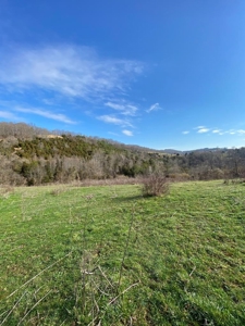 32 Acres Unrestricted Land in Sneedville, TN For Sale - image 1
