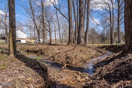 Land for sale 3271 Zeb Warren Rd, Cookeville TN 38501 - image 9
