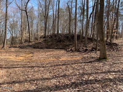 Land for sale 3271 Zeb Warren Rd, Cookeville TN 38501 - image 2