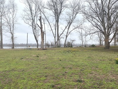 Yucatan Lake Lot For Sale Tensas Parish, LA - image 3