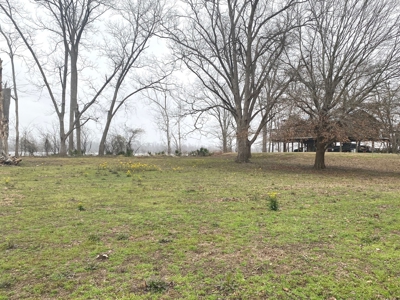 Yucatan Lake Lot For Sale Tensas Parish, LA - image 1