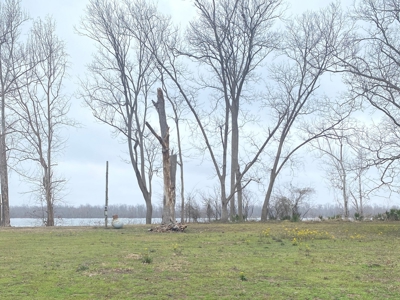 Yucatan Lake Lot For Sale Tensas Parish, LA - image 2
