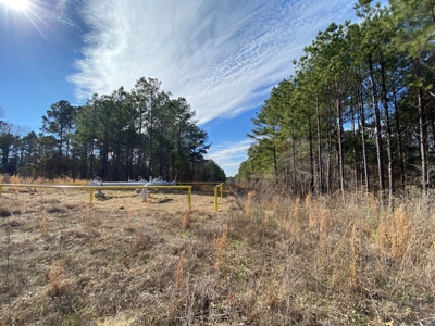 Country Land For Sale in Harrison County, Marshall, Texas - image 19