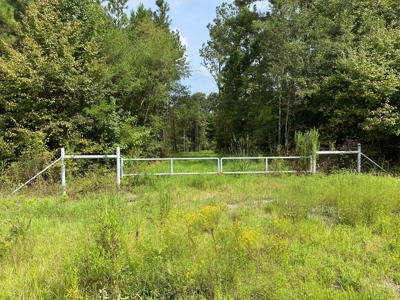Country Land For Sale in Harrison County, Marshall, Texas - image 3