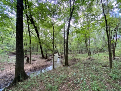 Country Land For Sale in Harrison County, Marshall, Texas - image 16