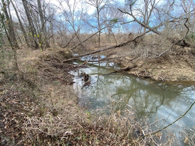 Country Land For Sale in Harrison County, Marshall, Texas - image 36