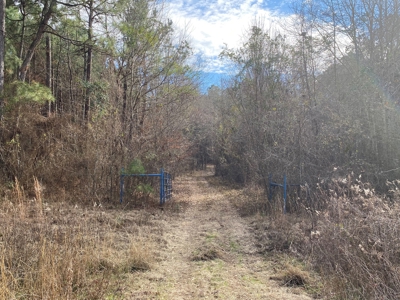 Country Land For Sale in Harrison County, Marshall, Texas - image 31