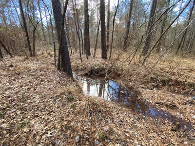 Country Land For Sale in Harrison County, Marshall, Texas - image 27