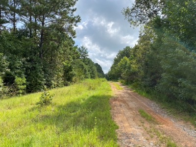 Country Land For Sale in Harrison County, Marshall, Texas - image 4