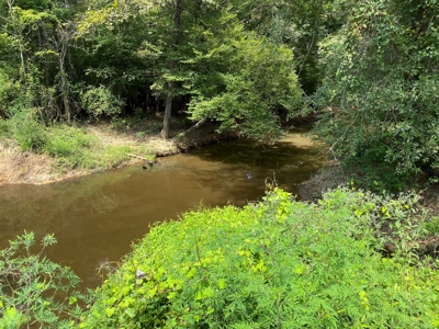 Country Land For Sale in Harrison County, Marshall, Texas - image 10