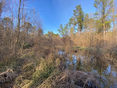 Country Land For Sale in Harrison County, Marshall, Texas - image 38
