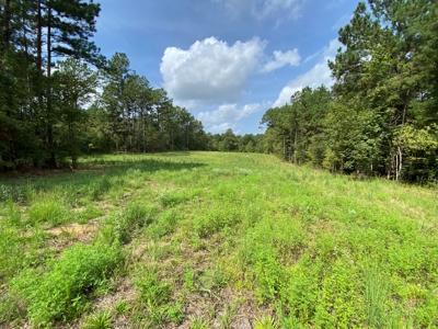 Country Land For Sale in Harrison County, Marshall, Texas - image 5