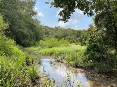 Country Land For Sale in Harrison County, Marshall, Texas - image 17