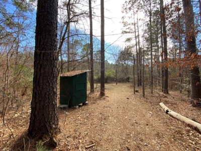 Country Land For Sale in Harrison County, Marshall, Texas - image 24
