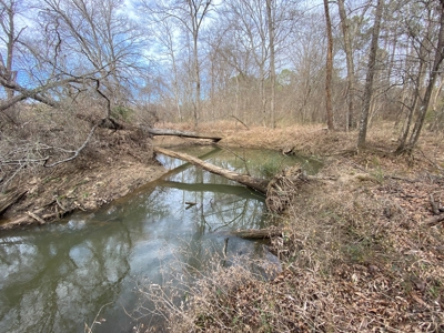 Country Land For Sale in Harrison County, Marshall, Texas - image 35