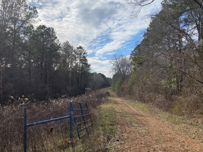 Country Land For Sale in Harrison County, Marshall, Texas - image 30