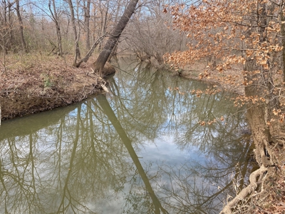 Country Land For Sale in Harrison County, Marshall, Texas - image 1