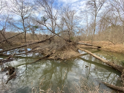Country Land For Sale in Harrison County, Marshall, Texas - image 37