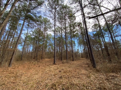 Country Land For Sale in Harrison County, Marshall, Texas - image 29