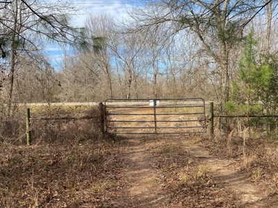 Country Land For Sale in Harrison County, Marshall, Texas - image 34