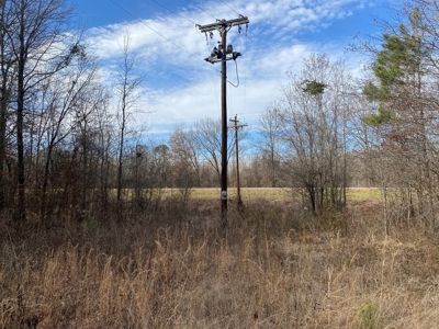 Country Land For Sale in Harrison County, Marshall, Texas - image 33