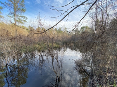 Country Land For Sale in Harrison County, Marshall, Texas - image 39