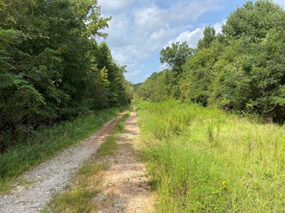 Country Land For Sale in Harrison County, Marshall, Texas - image 2