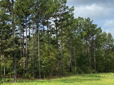 Country Land For Sale in Harrison County, Marshall, Texas - image 6