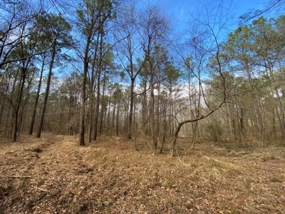 Country Land For Sale in Harrison County, Marshall, Texas - image 28