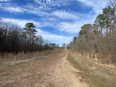 Country Land For Sale in Harrison County, Marshall, Texas - image 32