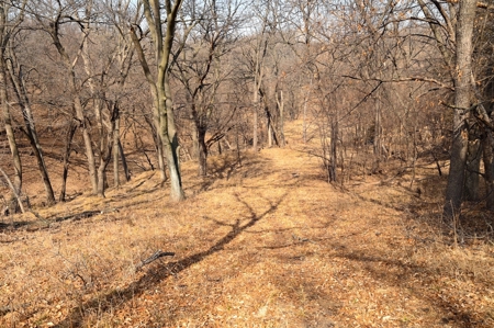 Atchison County Mo Recreational Property - image 5