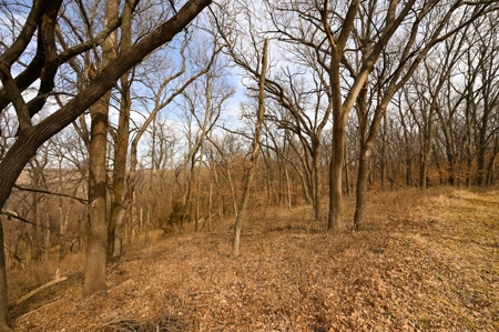 Atchison County Mo Recreational Property - image 13