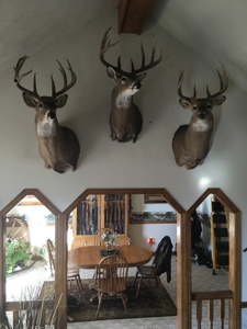 Atchison County Mo Recreational Property - image 38