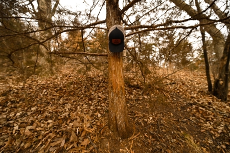 Atchison County Mo Recreational Property - image 34