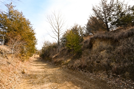 Atchison County Mo Recreational Property - image 3