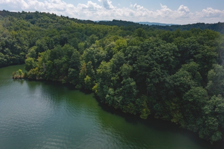 Lakefront Property for Sale in Pulaski VA! - image 2