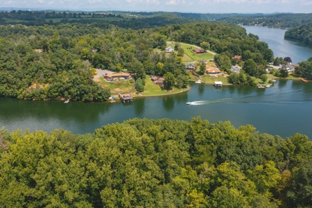Lakefront Property for Sale in Pulaski VA! - image 3