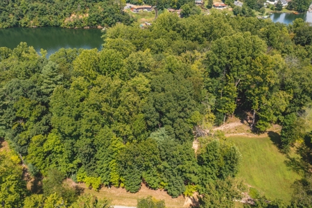 Lakefront Property for Sale in Pulaski VA! - image 5