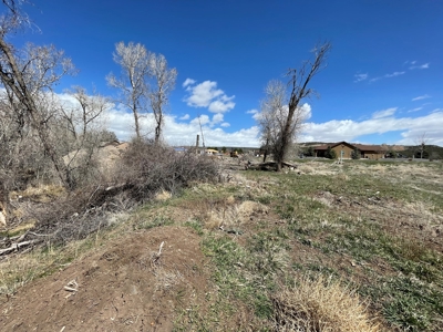 Mountain Land in Cedaredge Colorado, Golf Course close - image 4