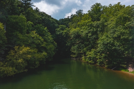 Lakefront Building Lot on Claytor Lake! - image 7