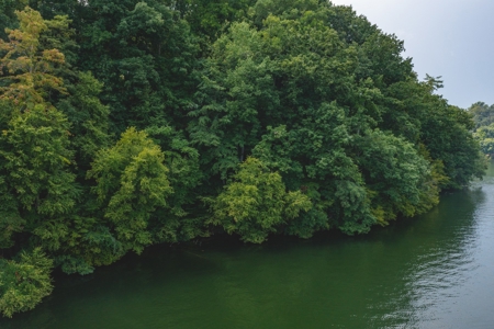 Lakefront Building Lot on Claytor Lake! - image 3